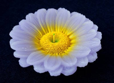 Свеча - цветок Сиреневая хризантема 9060115 фото