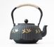 Чайник чавунний Тецубін із ситом Бамбуковий ліс 1100мл. 9200292 фото 2
