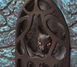 Магічний блокнот Чорний Кіт 28129 фото 6