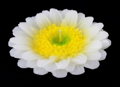 Свеча - цветок Белая хризантема 9060115 фото