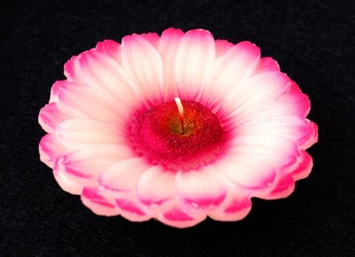 Свеча - цветок Фиолетовая хризантема 9060115 фото