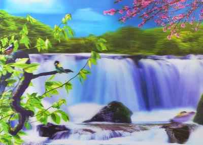 Постер голографический №13 Ветка сакуры на фоне водопада 9040083 фото