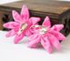 Сережки ганчір'яні Квітка світло-рожева 9080444 фото 2